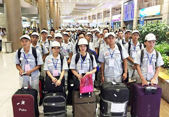 Aumenta número de trabajadores vietnamitas en ultramar en 2019