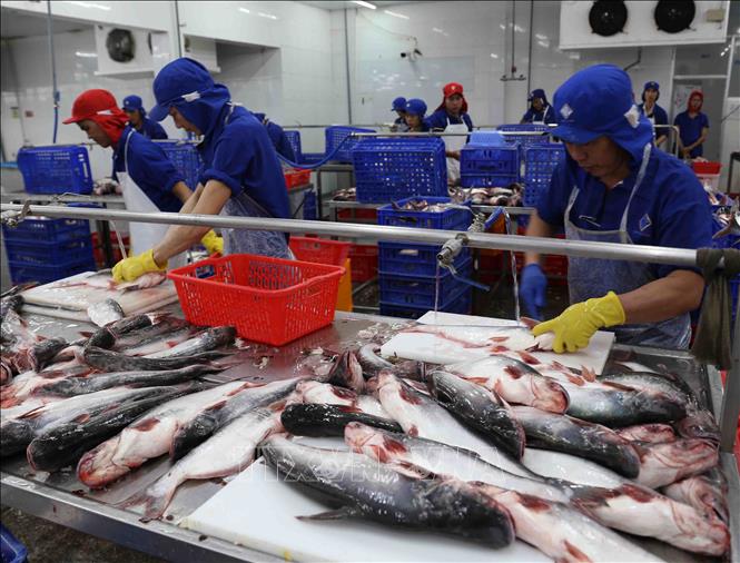 Exportaciones de productos agrícolas, silvícolas y acuícolas vietnamitas alcanzan nuevo récord