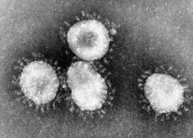 Organización Mundial de la Salud monitorea la evolución del nuevo coronavirus