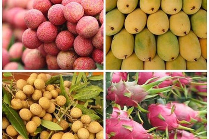 Vietnam planea exportaciones de frutas y vegetales en 2020