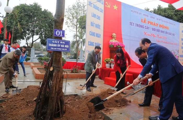 Lanzan localidades vietnamitas la siembra de árboles a inicios del año