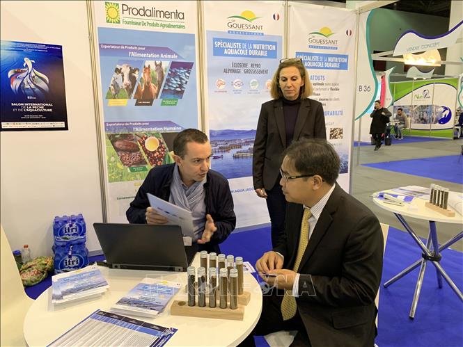 África sigue siendo un mercado potencial de Vietnam en el periodo poscoronavirus