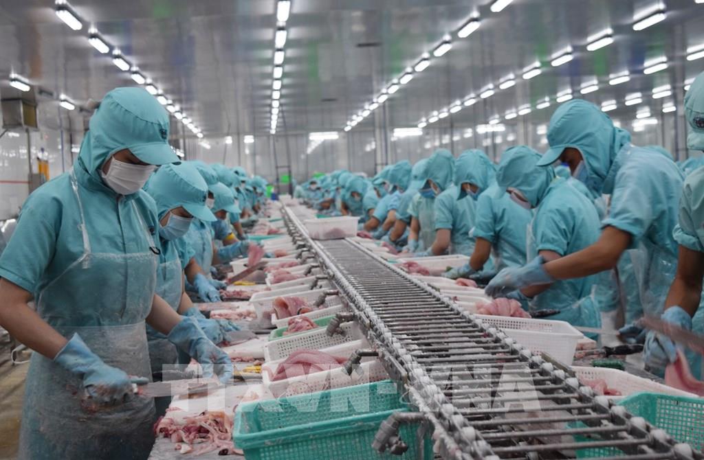 Exportaciones de productos acuícolas de Vietnam siguen en alza