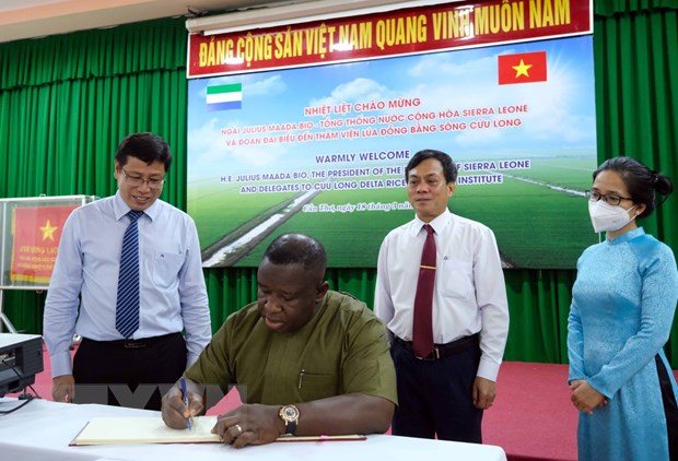 Sierra Leona aboga por intensificar la cooperación con Vietnam en la agricultura