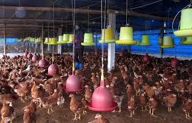 貧困世帯への融資