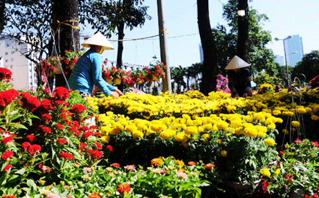 テト前の活気ある花市場