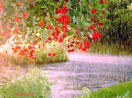 夏と雨を歌う