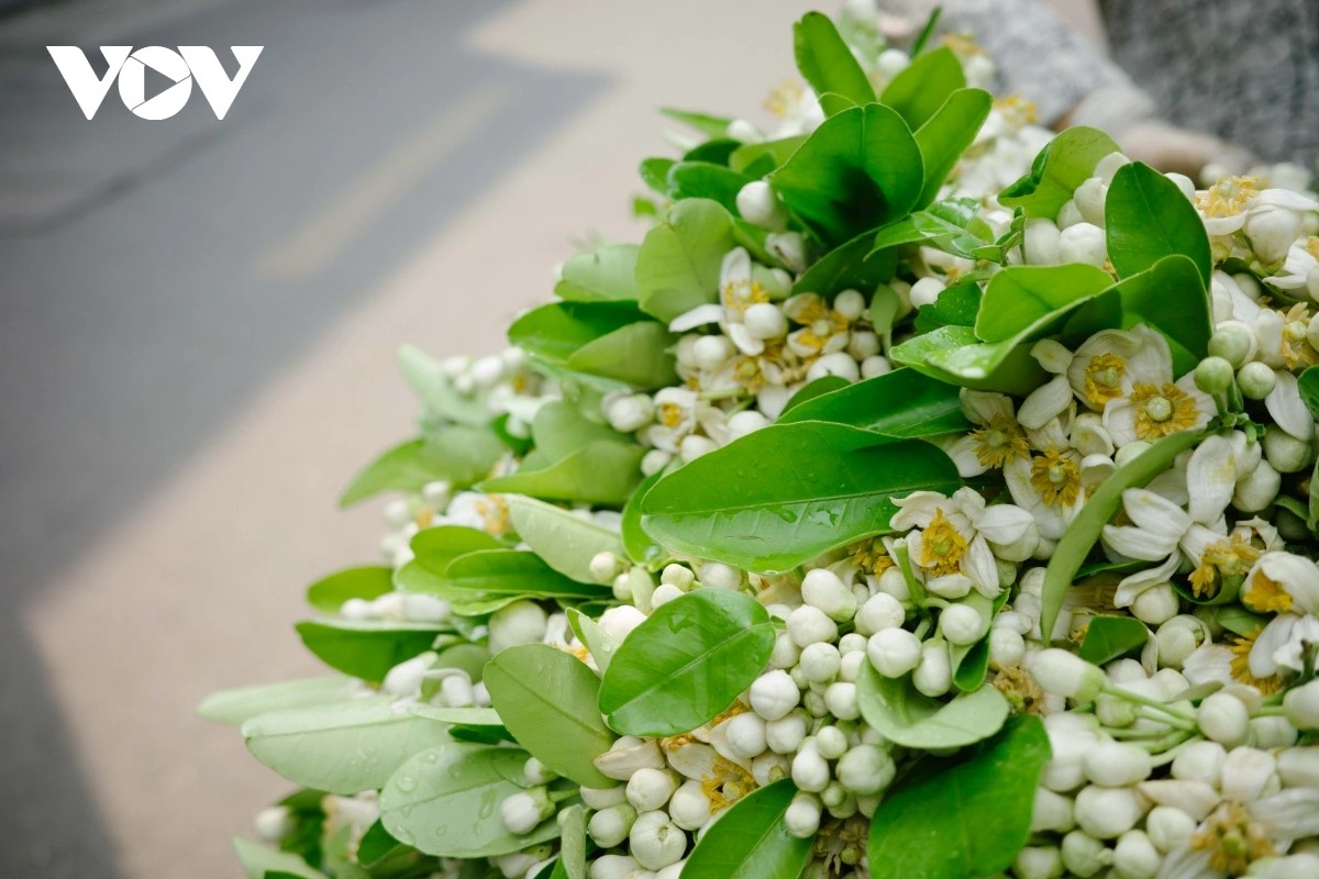 リスナーと共におしゃべりタイム （3月19日）