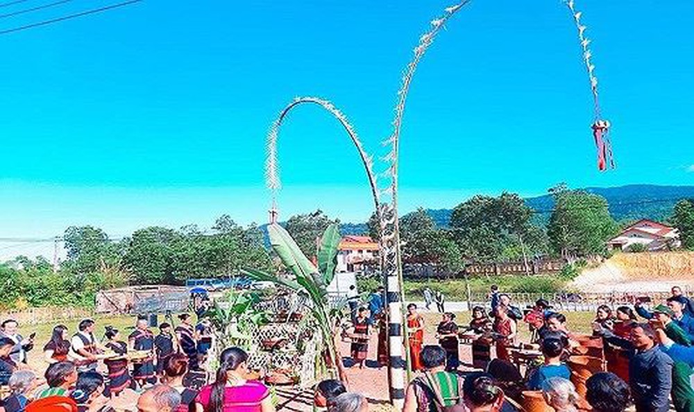 Le festival Aza