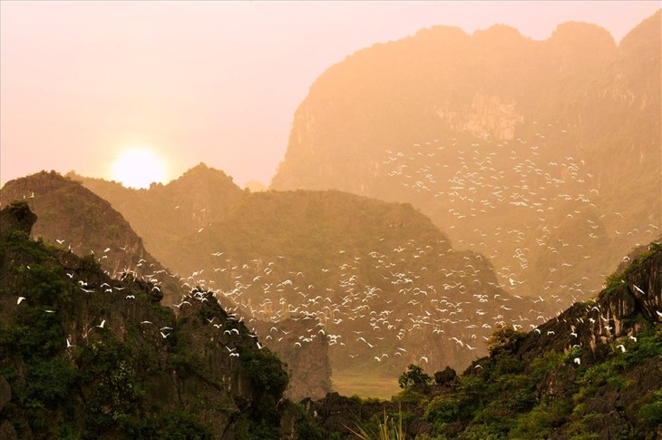 Le parc ornithologique de Thung Nham