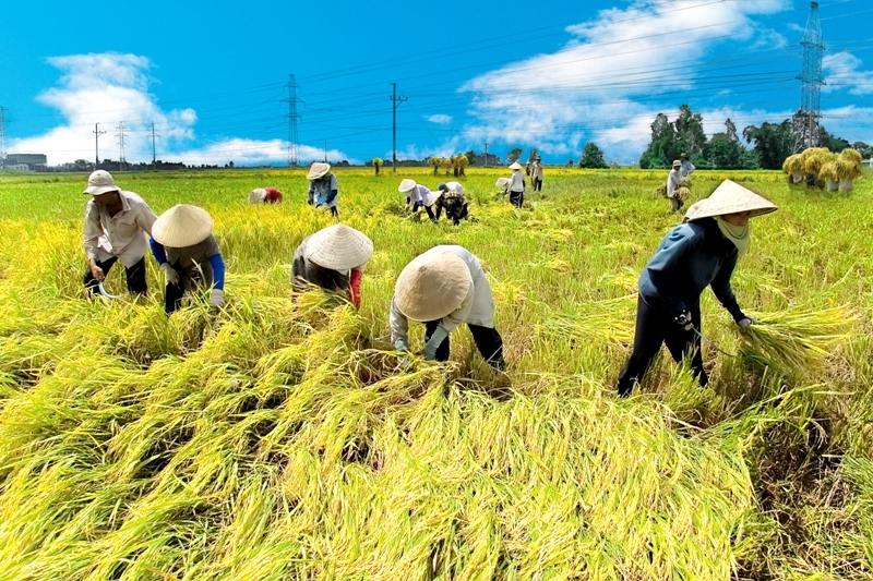 La 31ème conférence régionale pour l'Asie et le Pacifique de la FAO à Hanoï