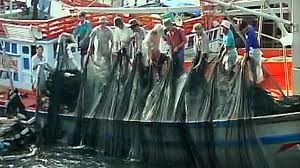 Vietnam ingin mengirim nelayan ke Indonesia untuk menangkap ikan secara sah
