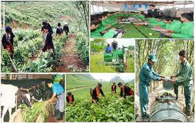 Dewan Etnis -  Etnis Majelis Nasional Vietnam mengawasi penggelaran program 30a