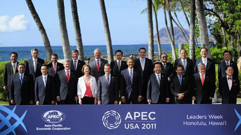 Vietnams Beiträge zum APEC-Gipfel