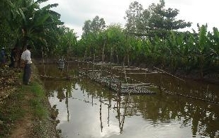 Die Stärke des nationalen Zusammenhalts in Soc Trang