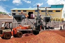 Der Export Vietnams erreicht neuen Rekord