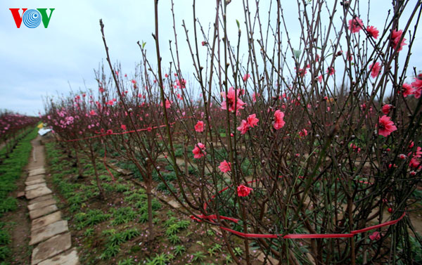 Briefkastensendung vom 25.1.2012