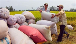 Konferenz der Welternährungsorganisation eröffnet in Hanoi