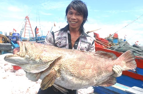 Aufbau der maritimen Wirtschaft in Vietnam