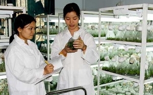 Vietnam und Laos wollen ihre Zusammenarbeit in Wissenschaften verstärken