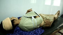 Landeskonferenz über die Bekämpfung von häuslicher Gewalt