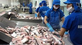 Nachhaltige Produktion von Pangasius für den Export