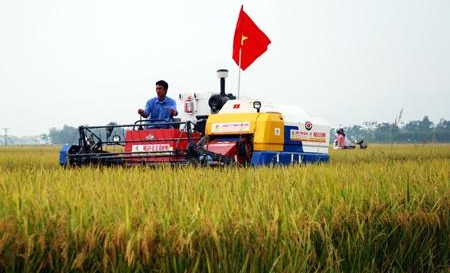 Förderung der Zusammenlegung von landwirtschaftlichen Nutzflächen