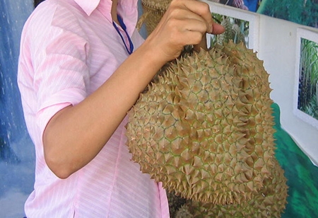 Bäume bieten Ausweg aus der Armut für die Bauern in Khanh Hoa an
