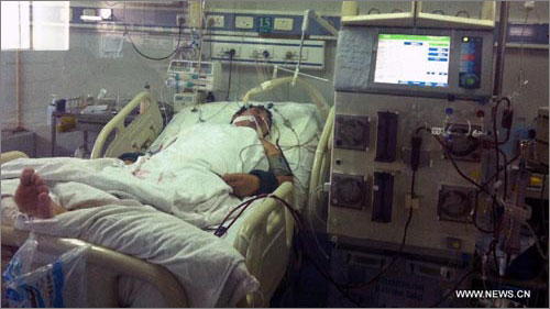 Noch keine Infektion der Vogelgrippe H7N9 von Mensch zu Mensch bestätigt