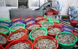 Gemeinsames Zertifikat für Garnelen aus ASEAN erstellen