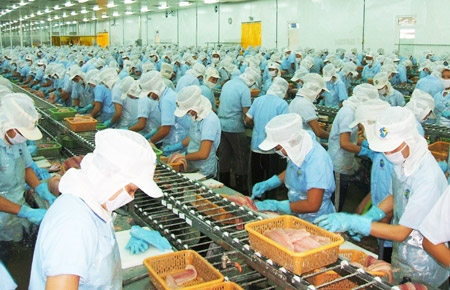 Gute Zeichen für den Export im ersten Halbjahr