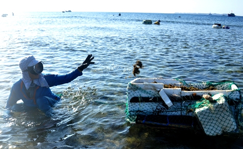 Insel Ly Son - lebendige Atmosphäre am Strand in der Meerestrockenzeit
