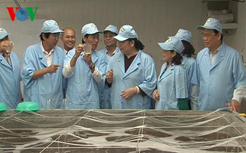 Vizeparlamentspräsidentin Tong Thi Phong besucht Bac Lieu