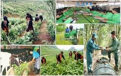 Neue Armutsgrenze mit mehrdimensionaler Messung festgelegt