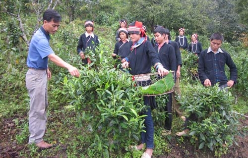 Die Regierungskommission für ethnische Minderheiten fördert Menschenrechte