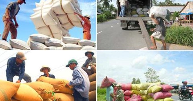 Einflüsse des Regionalen Umfassenden Partnerschaftsabkommens auf Vietnams Wirtschaft