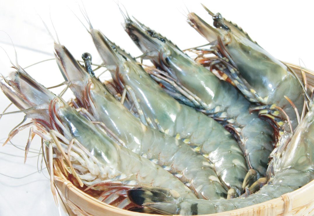 AAP: Mit TPP ist Vietnam ein potenzieller Markt für Australien