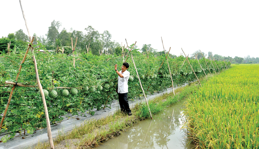 Die Landwirtschaft teilt Gebiete, um sich besser an den Klimawandel anzupassen