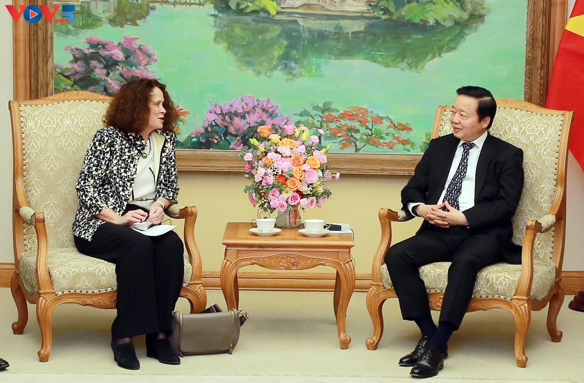 Weltbank hilft Vietnam beim Aufbau des freiwilligen Marktes für CO2-Zertifikate