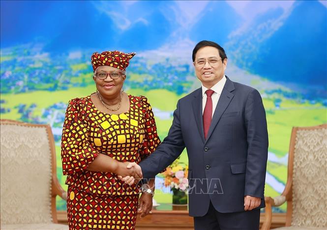 Vietnam und andere Mitglieder tragen effektiv zu WTO-Handlungen bei