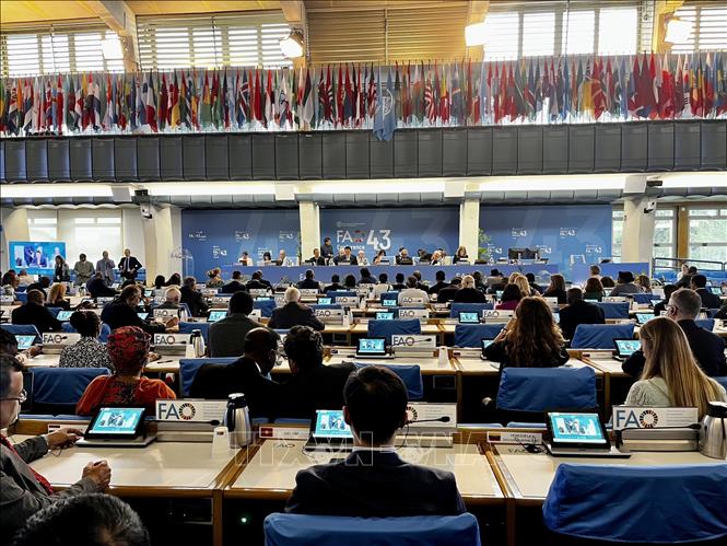 Vietnam nimmt an 43. Tagung der FAO-Ministerkonferenz teil