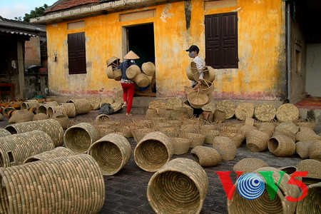 宁平省金山县的蒲草编织业 hinh 1