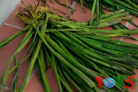 宁平省金山县的蒲草编织业 hinh 4