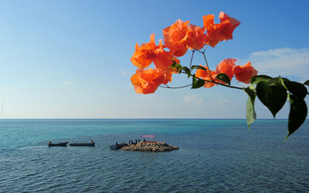 truong sa - khat vong tuoi tre uom mam dao xanh hinh 11