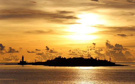 truong sa - khat vong tuoi tre uom mam dao xanh hinh 13