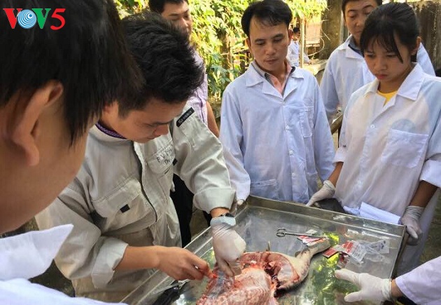 Nguyen Van Minh, un prof passionné