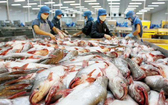 Produits aquatiques: saisir les opportunités pour exporter davantage