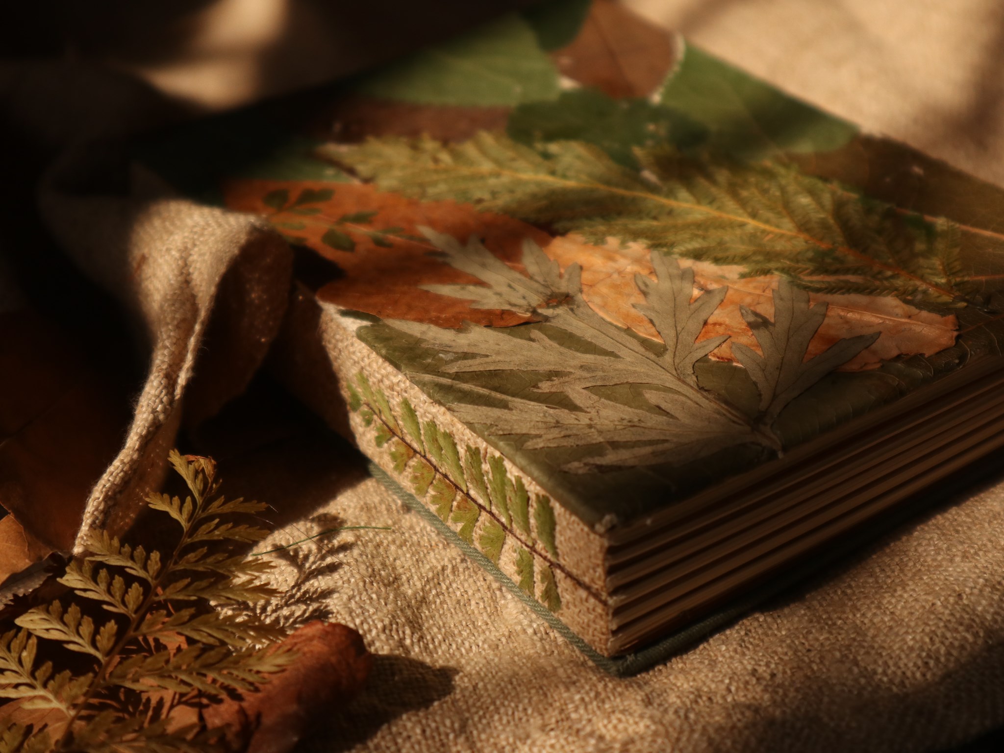 Des carnets… pas comme les autres