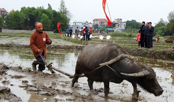 Arbeitsatmosphäre auf Feld und am Meer