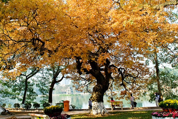 Verführerischer Herbst in Hanoi